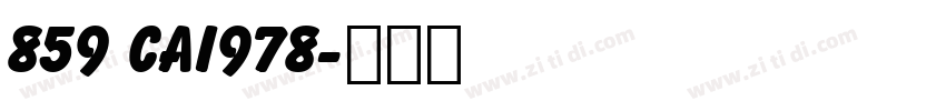 859 CAI978字体转换
